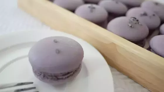 Черновик Медведь и Слон 9